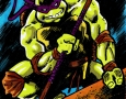 Teenage Mutant Ninja Turtle - Donatello